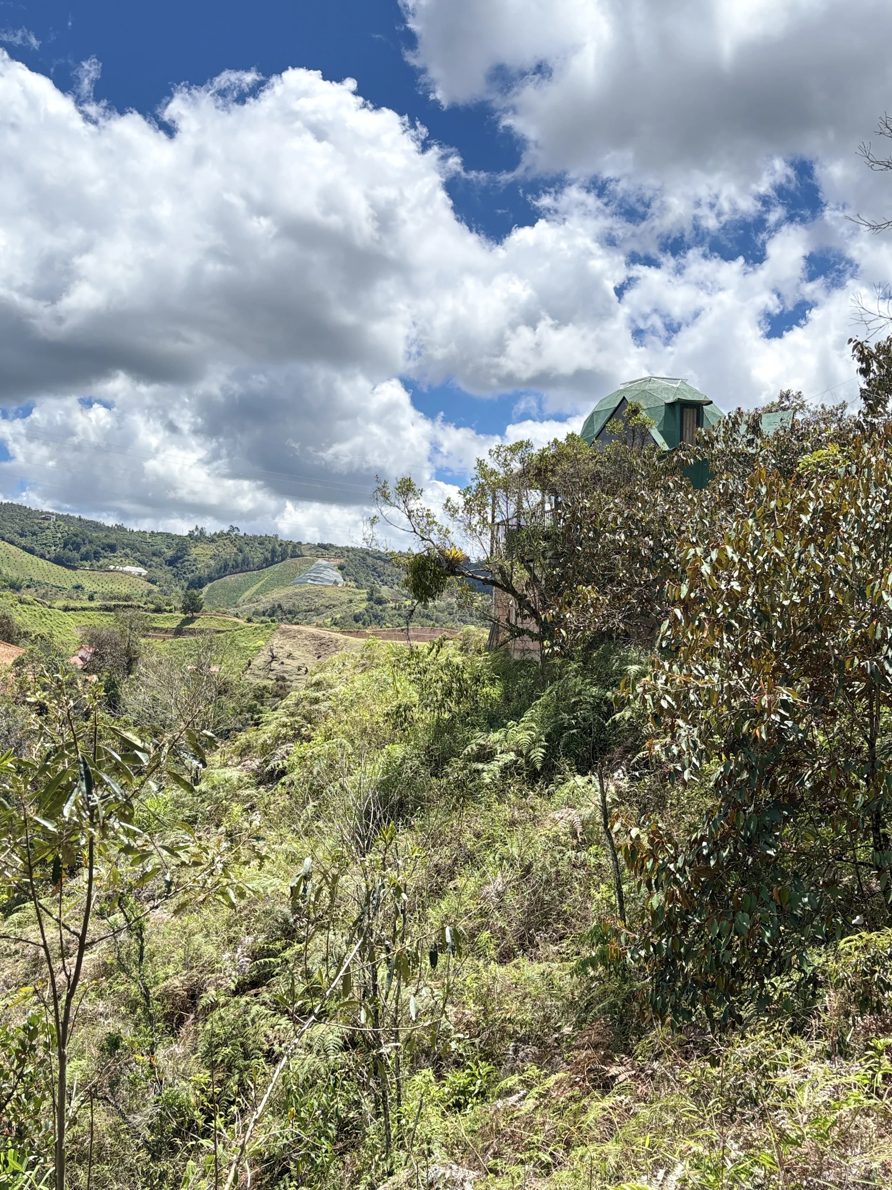 Domo geodésico en la ladera verde